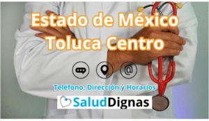 Estado de México Toluca Centro